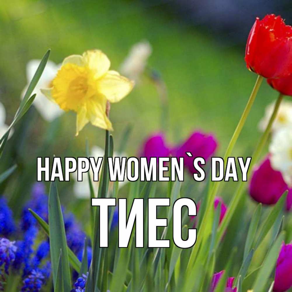 Greetings card с именем, ТИЕС happy women`s day международный женский день 3 Greetings with text for free download 